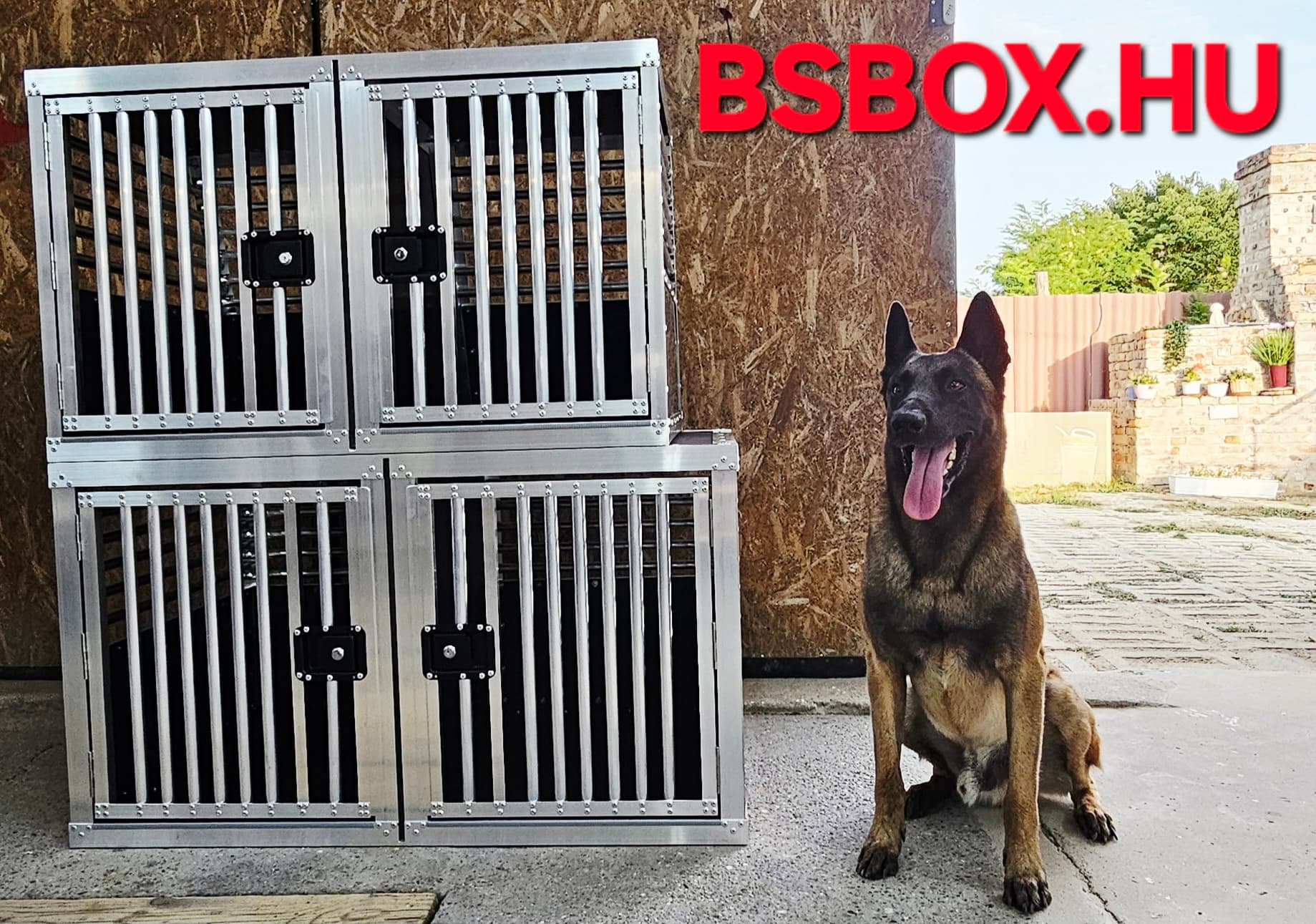 Sample dogbox 5