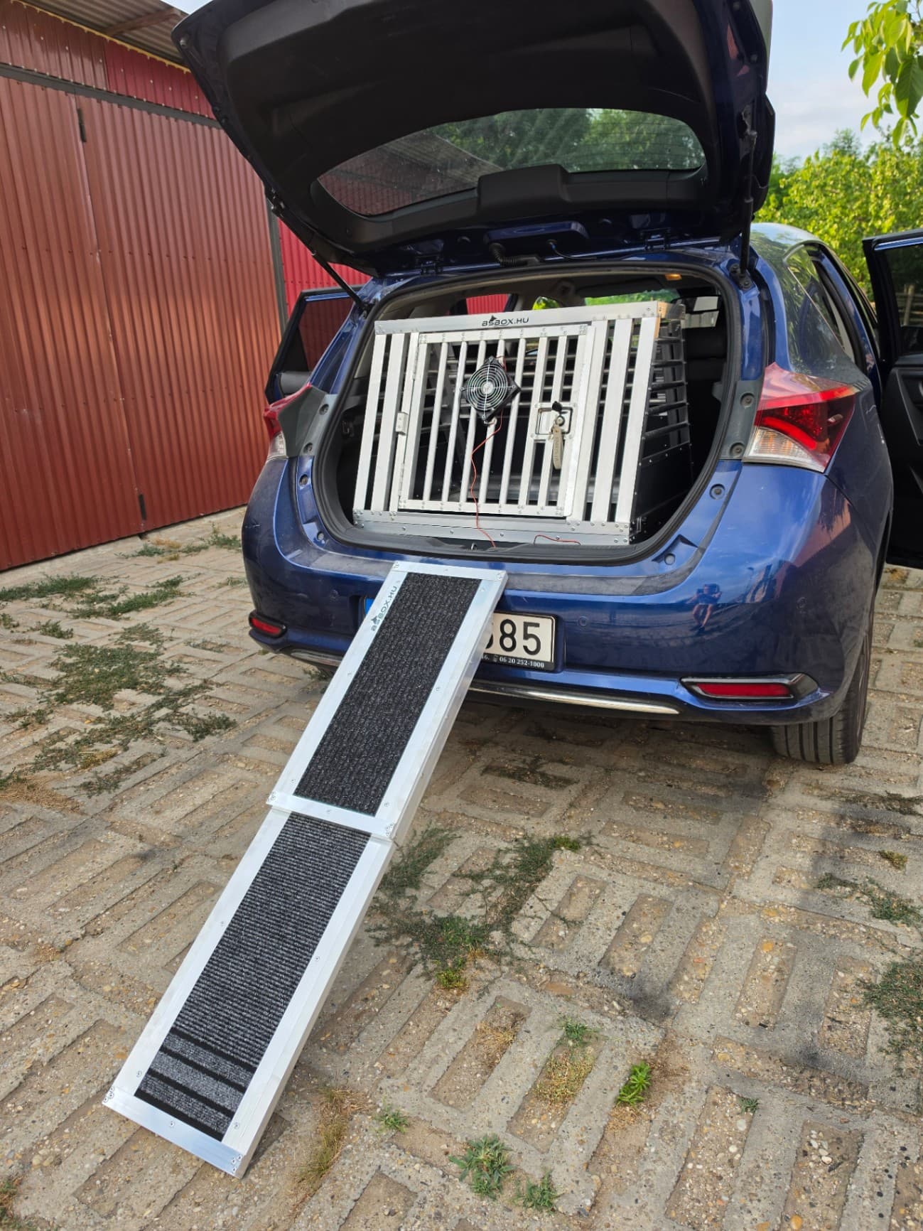 Auris